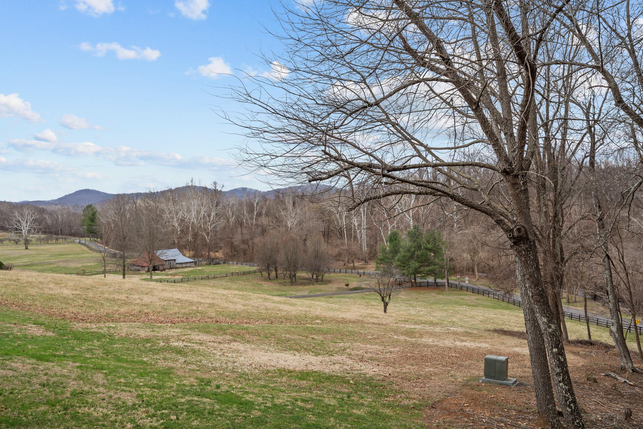 94 Old Hollow Road Sperryville, VA 22740 - Photo 2 of 38 a backyard of a house with lots of green space