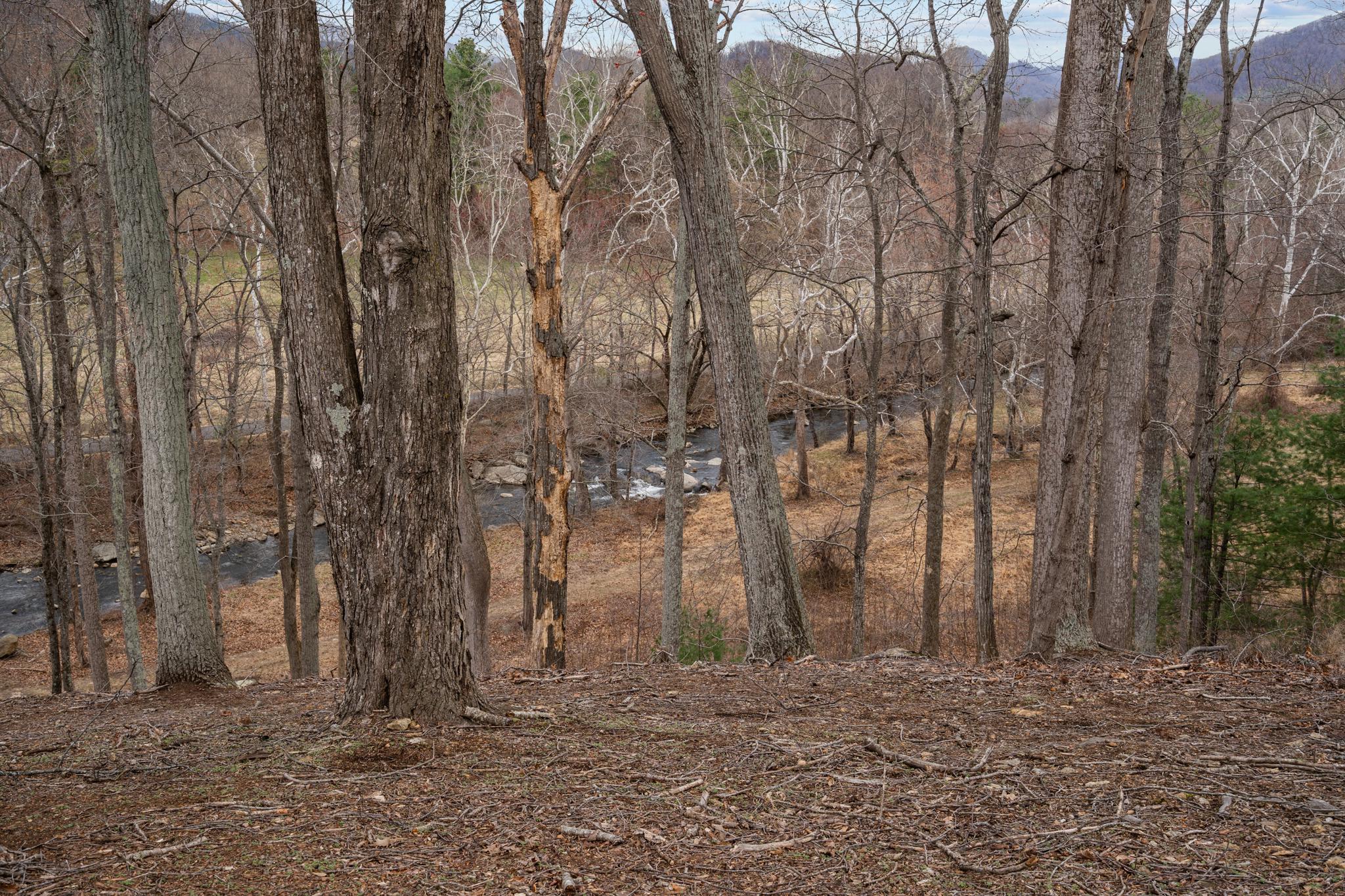 94 Old Hollow Road Sperryville, VA 22740 - Photo 27 of 38 a view of a backyard of the house
