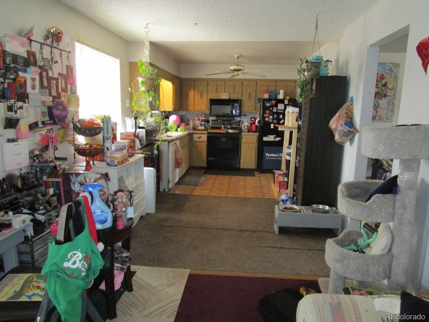 4750 Nelson Street Wheat Ridge, CO 80033 - Photo 5 of 33 Gallery Image 5