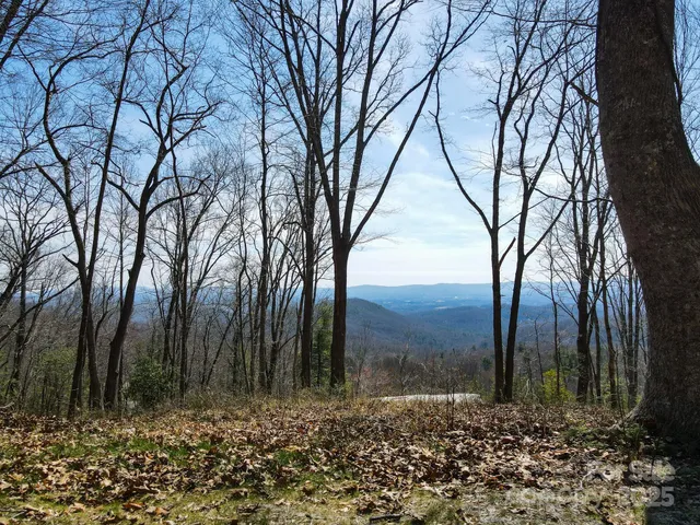 a flag is sitting in the middle of a yard