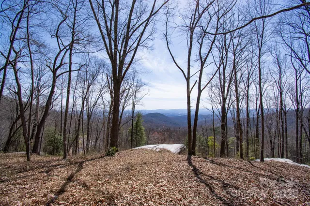 a view of a backyard of the house