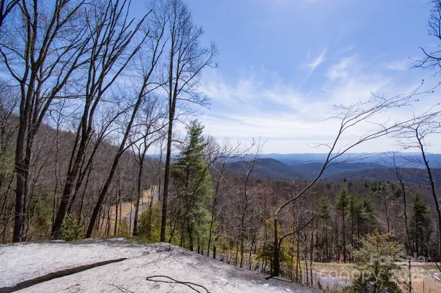 a view of a trees with a yard