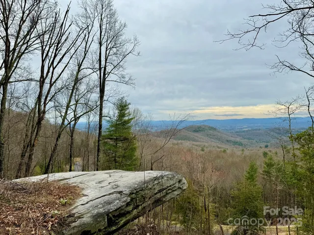 a view of a yard with wooden fence