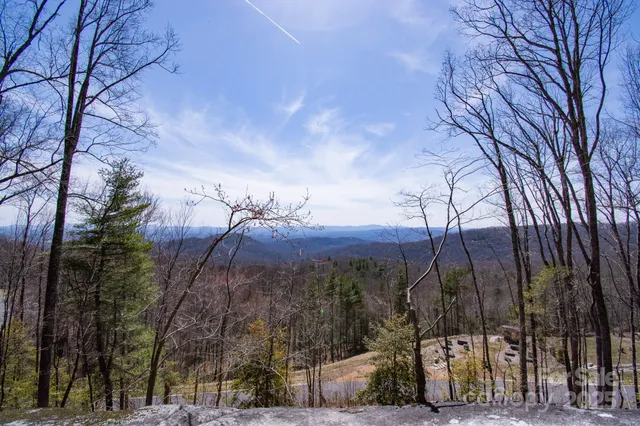 a view of backyard and trees