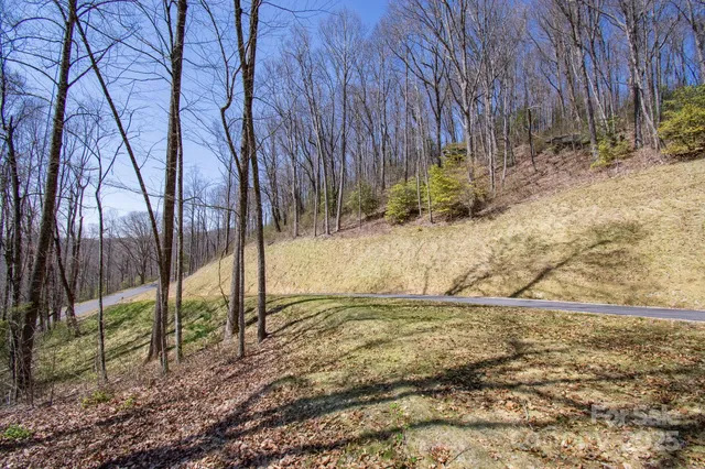 a view of a backyard with large trees