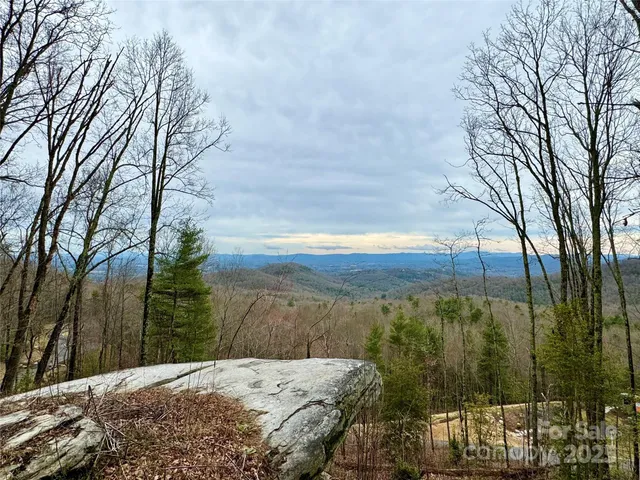 a view of a yard with wooden fence