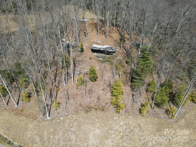 a view of a backyard with a barbeque and trees