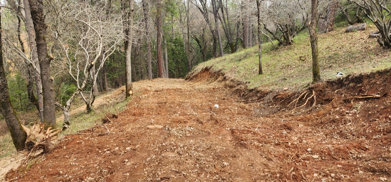 0 Sly Park Road Placerville, CA 95667 - Photo 11 of 19 a view of a yard covered with trees