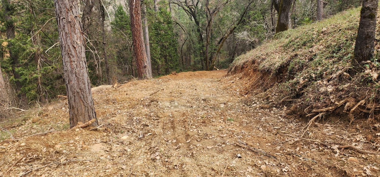 0 Sly Park Road Placerville, CA 95667 - Photo 14 of 19 a view of a yard with trees