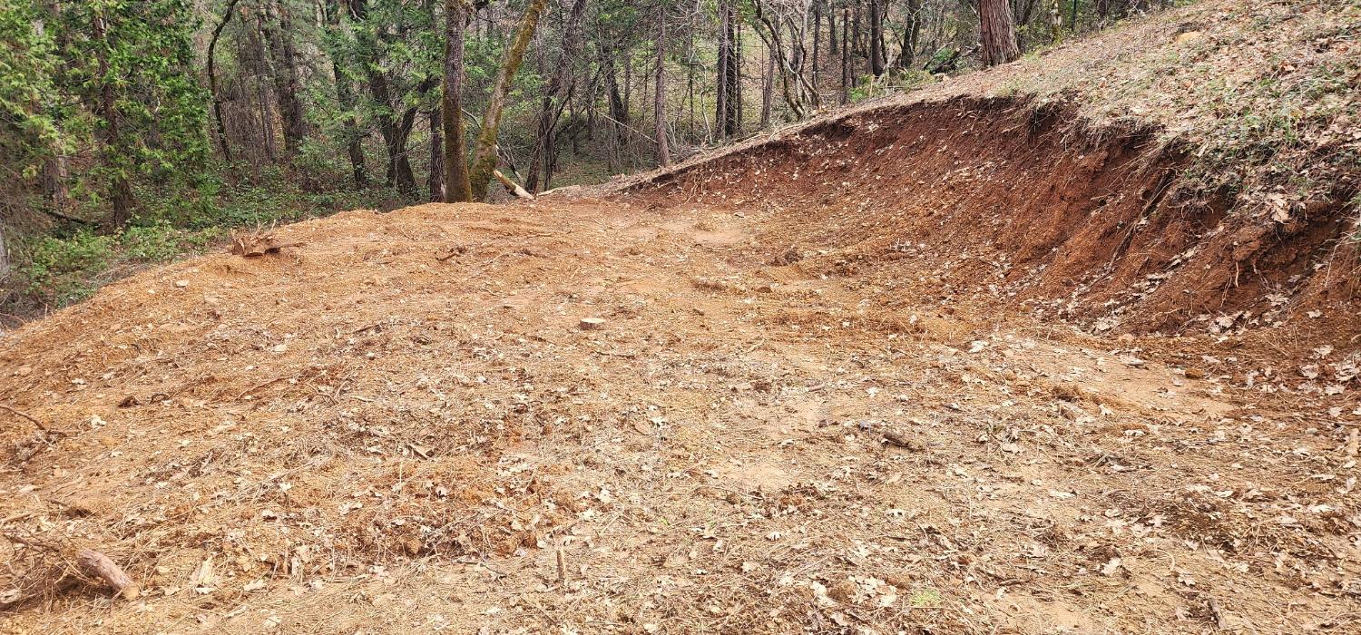 0 Sly Park Road Placerville, CA 95667 - Photo 15 of 19 a view of a backyard with pathway