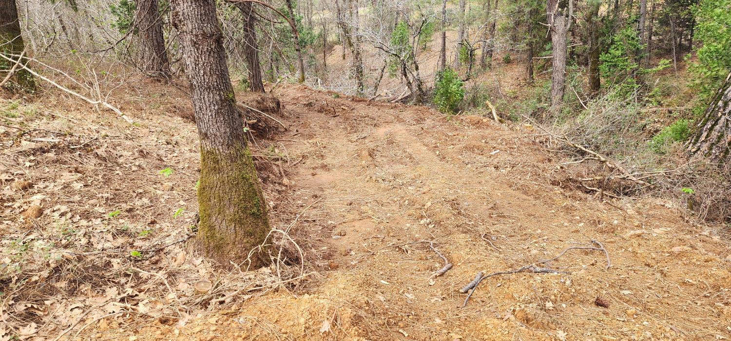 0 Sly Park Road Placerville, CA 95667 - Photo 16 of 19 a view of a yard with trees