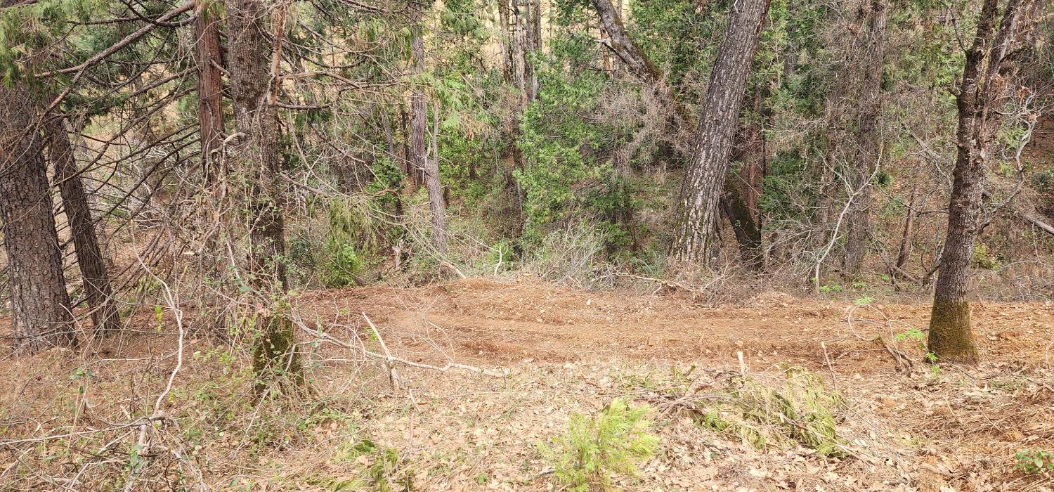0 Sly Park Road Placerville, CA 95667 - Photo 17 of 19 a view of natural light