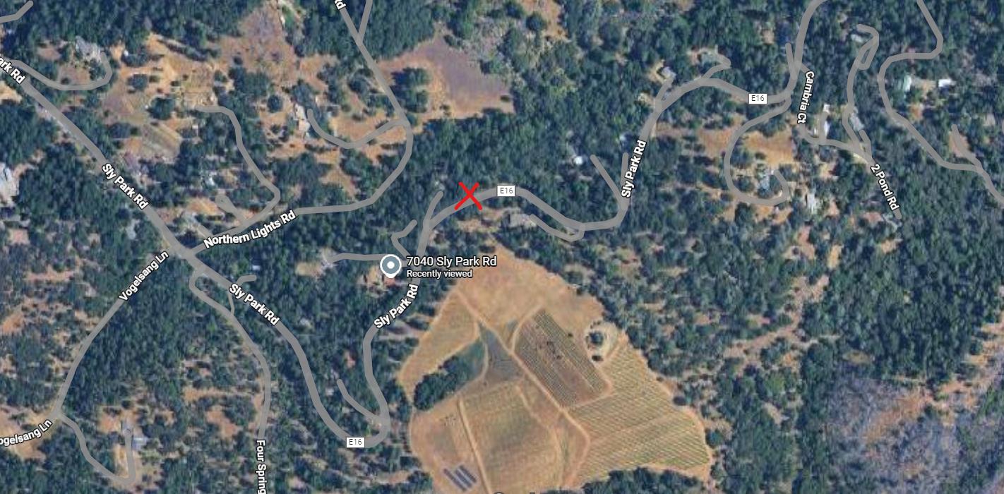 0 Sly Park Road Placerville, CA 95667 - Photo 19 of 19 a view of under tree