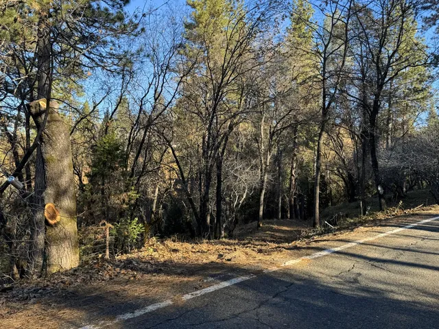 a view of street with trees