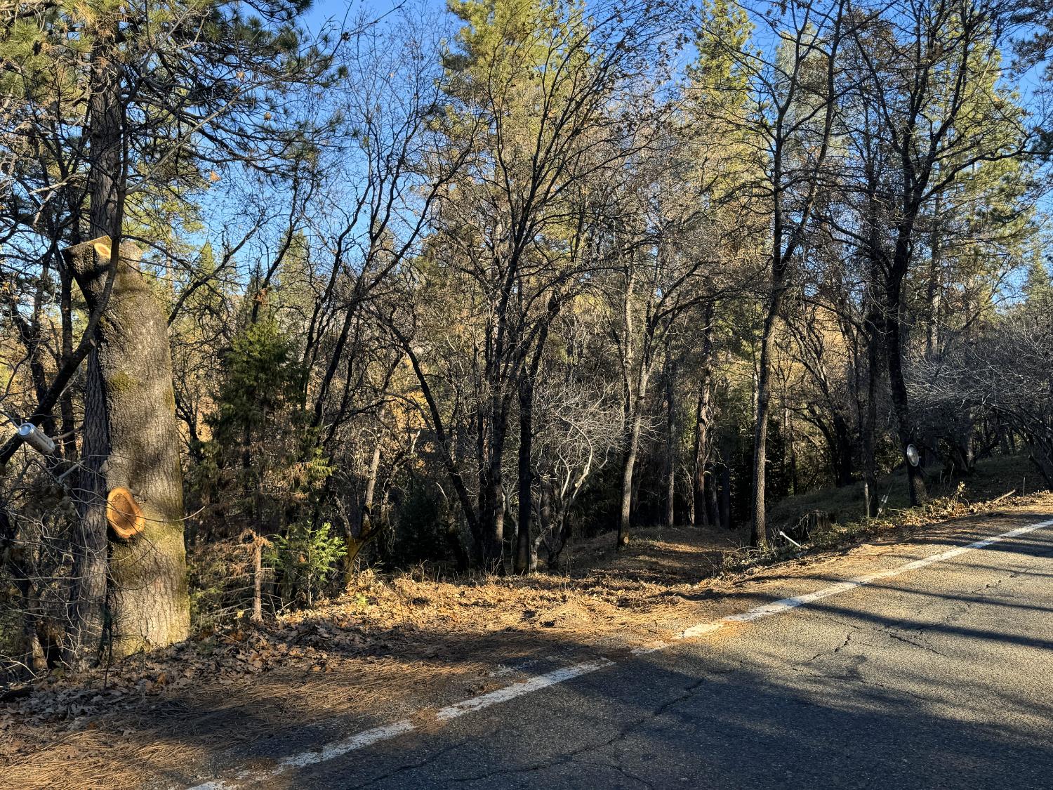 0 Sly Park Road Placerville, CA 95667 - Photo 9 of 12 a view of street with trees