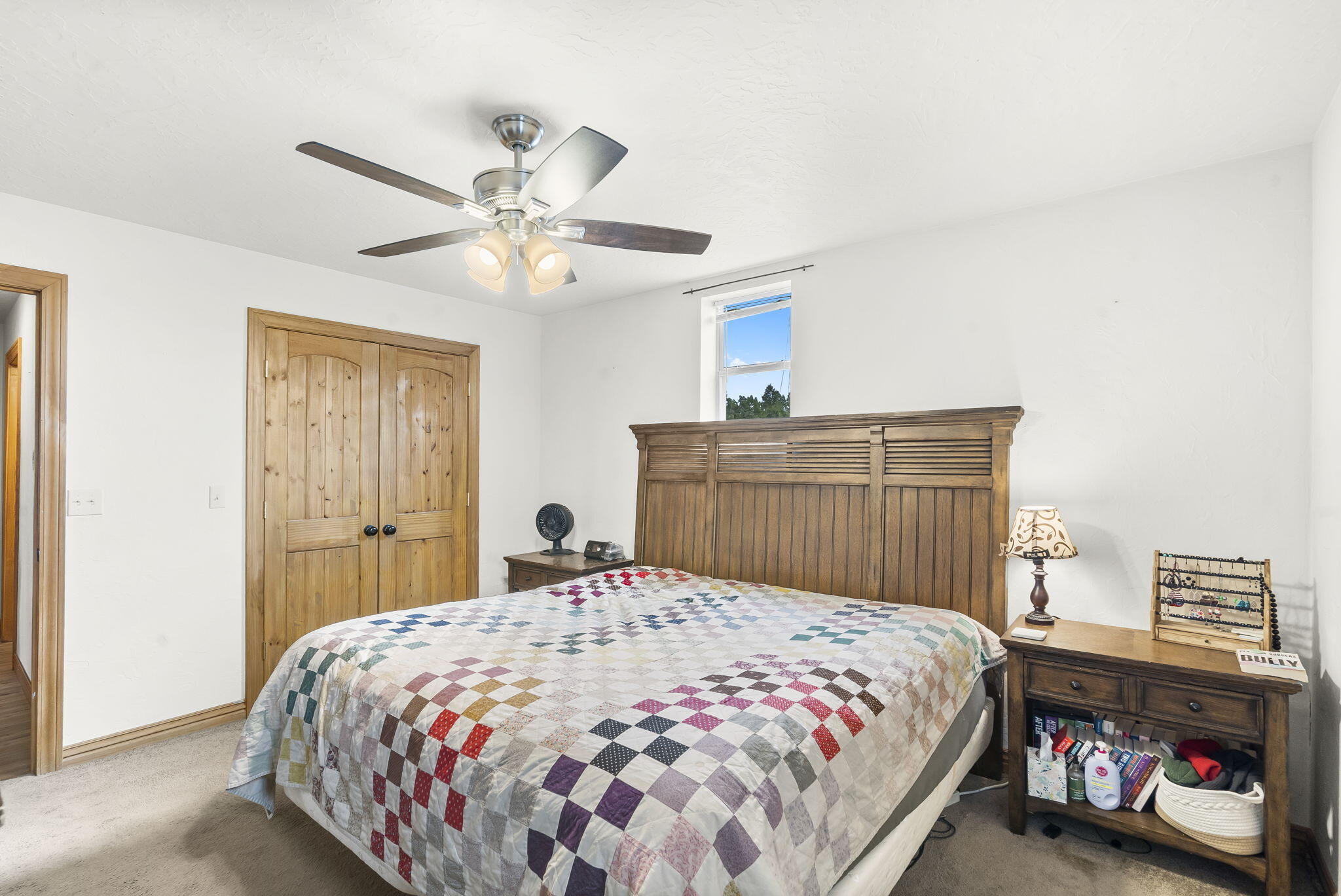 186 Carico Road Galena, MO 65656 - Photo 19 of 41 19-web-or-mls-DSC05755