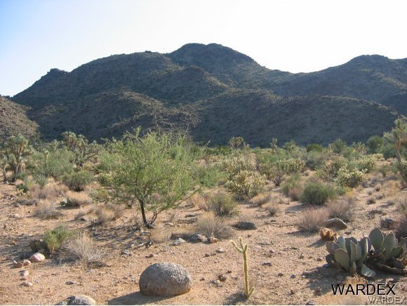 16575 South La Cienega Ranch Road Yucca, AZ 86438 - Photo 4 of 10 Gallery Image 4