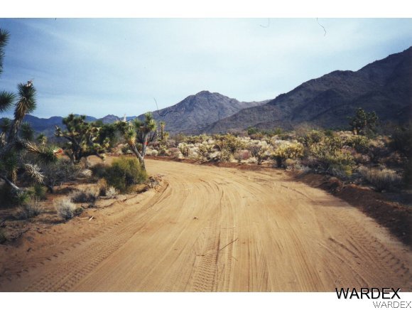 16575 South La Cienega Ranch Road Yucca, AZ 86438 - Photo 7 of 10 Gallery Image 7