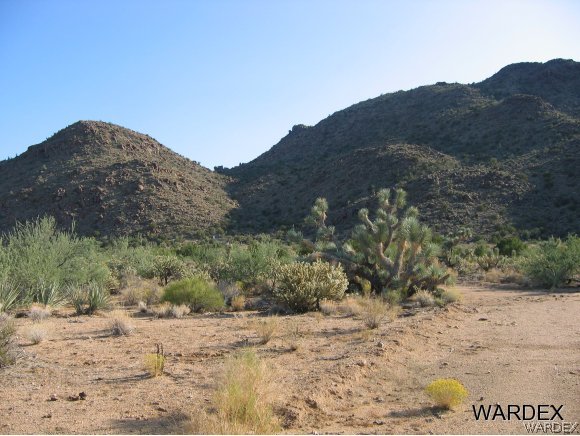 16575 South La Cienega Ranch Road Yucca, AZ 86438 - Photo 9 of 10 Gallery Image 9