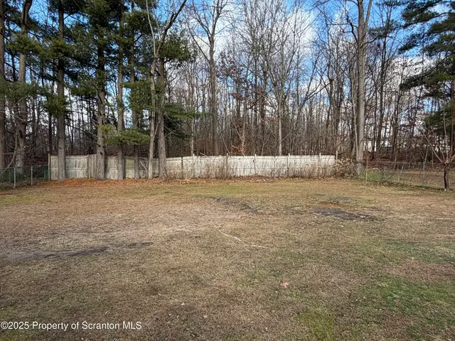 a view of empty space with large trees