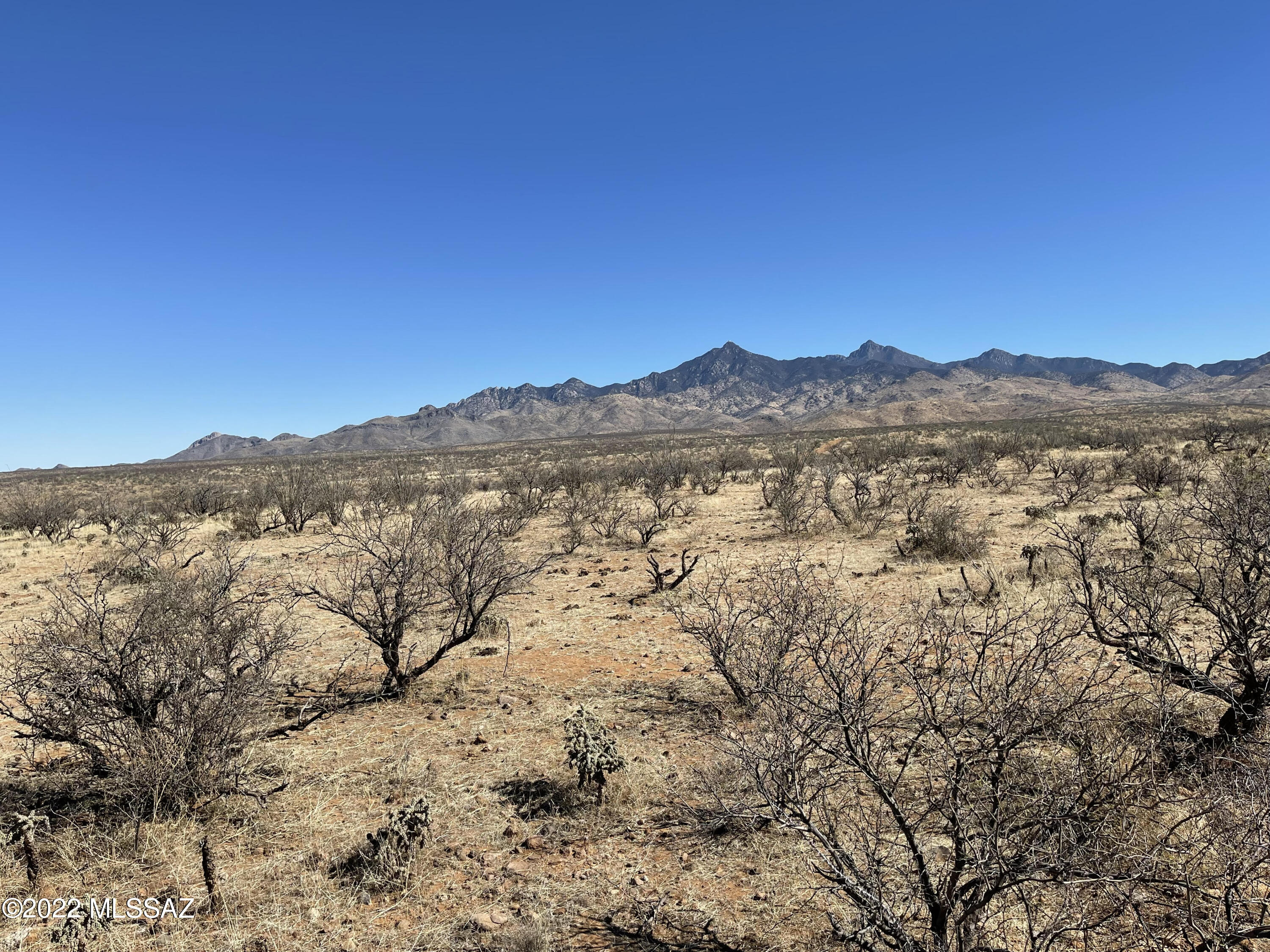 Camino Kennedy Rio Rico, AZ 85648 - Photo 5 of 5