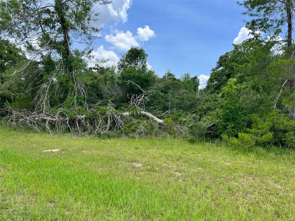 Oo Southwest 32nd Terrace Road Ocala, FL 34473 - Photo 1 of 1