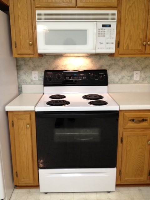 52 Arch Mill Road Fincastle, VA 24090 - Photo 15 of 42 Stove