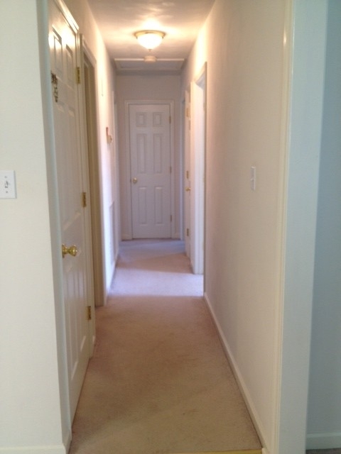 52 Arch Mill Road Fincastle, VA 24090 - Photo 19 of 42 Hallway