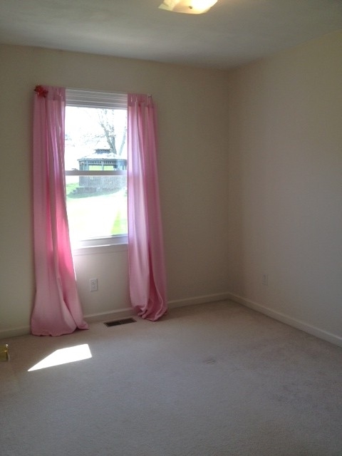 52 Arch Mill Road Fincastle, VA 24090 - Photo 25 of 42 Bedroom 2