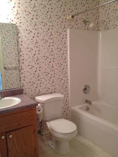 52 Arch Mill Road Fincastle, VA 24090 - Photo 29 of 42 Guest Bathroom