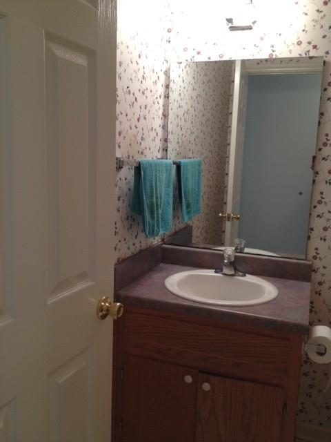 52 Arch Mill Road Fincastle, VA 24090 - Photo 30 of 42 Guest Bathroom2