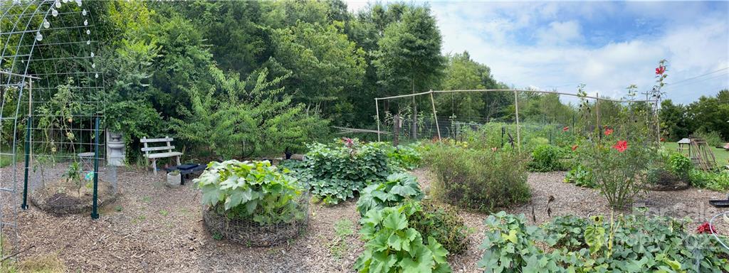 3616 Morgan Mill Road Monroe, NC 28110 - Photo 9 of 19 a view of a garden