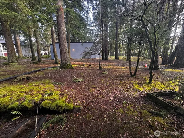 a backyard of a house with lots of green space