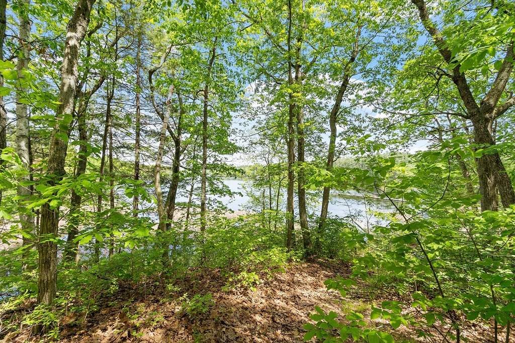 8 Scott Road, Unit 8 Littleton, MA 01460 - Photo 7 of 31 Gallery Image 7