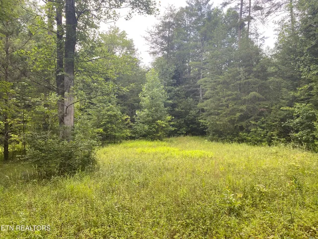 $440,000 | 0 Baxter Norris Road, Crab Orchard, TN 37723