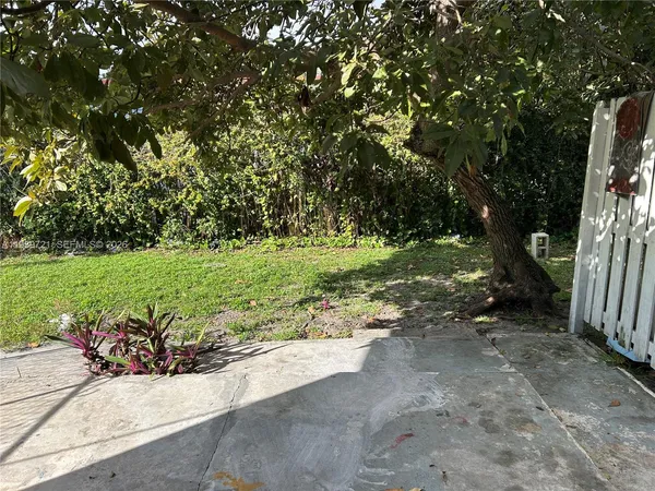 a view of a park with large trees