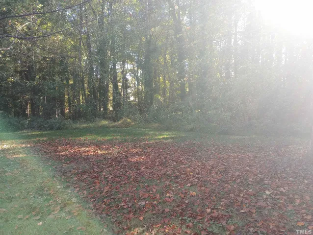 a view of a yard with trees in the background