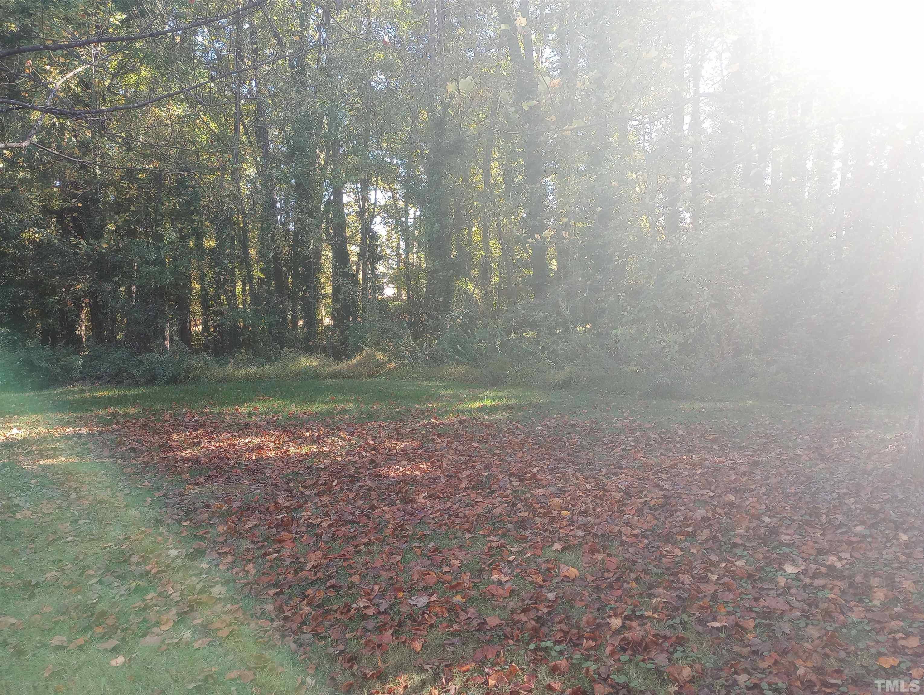 65 Red Lane Raleigh, NC 27606 - Photo 24 of 24 a view of a yard with trees in the background