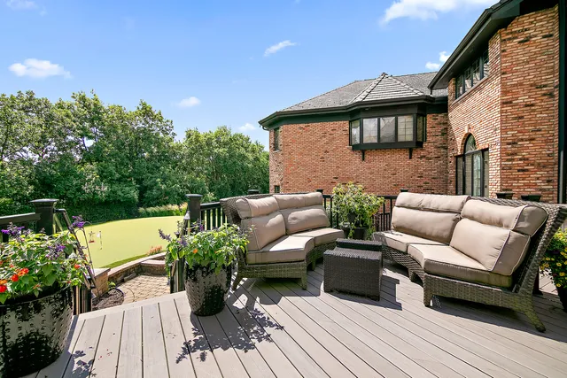 a view of a patio with couches and a potted plant on a table
