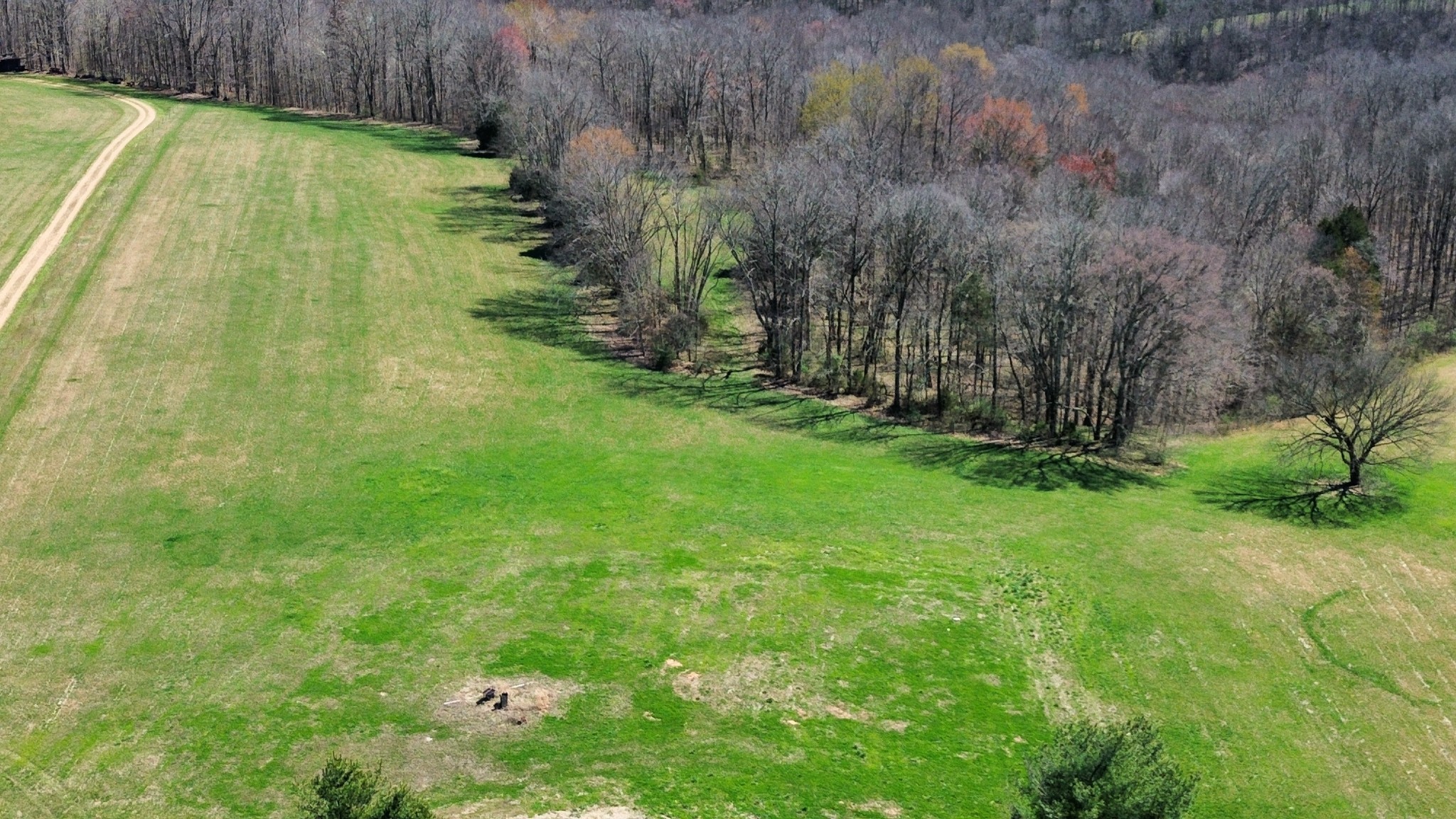11024 Galen Road Lafayette, TN 37083 - Photo 3 of 15 Gallery Image 3