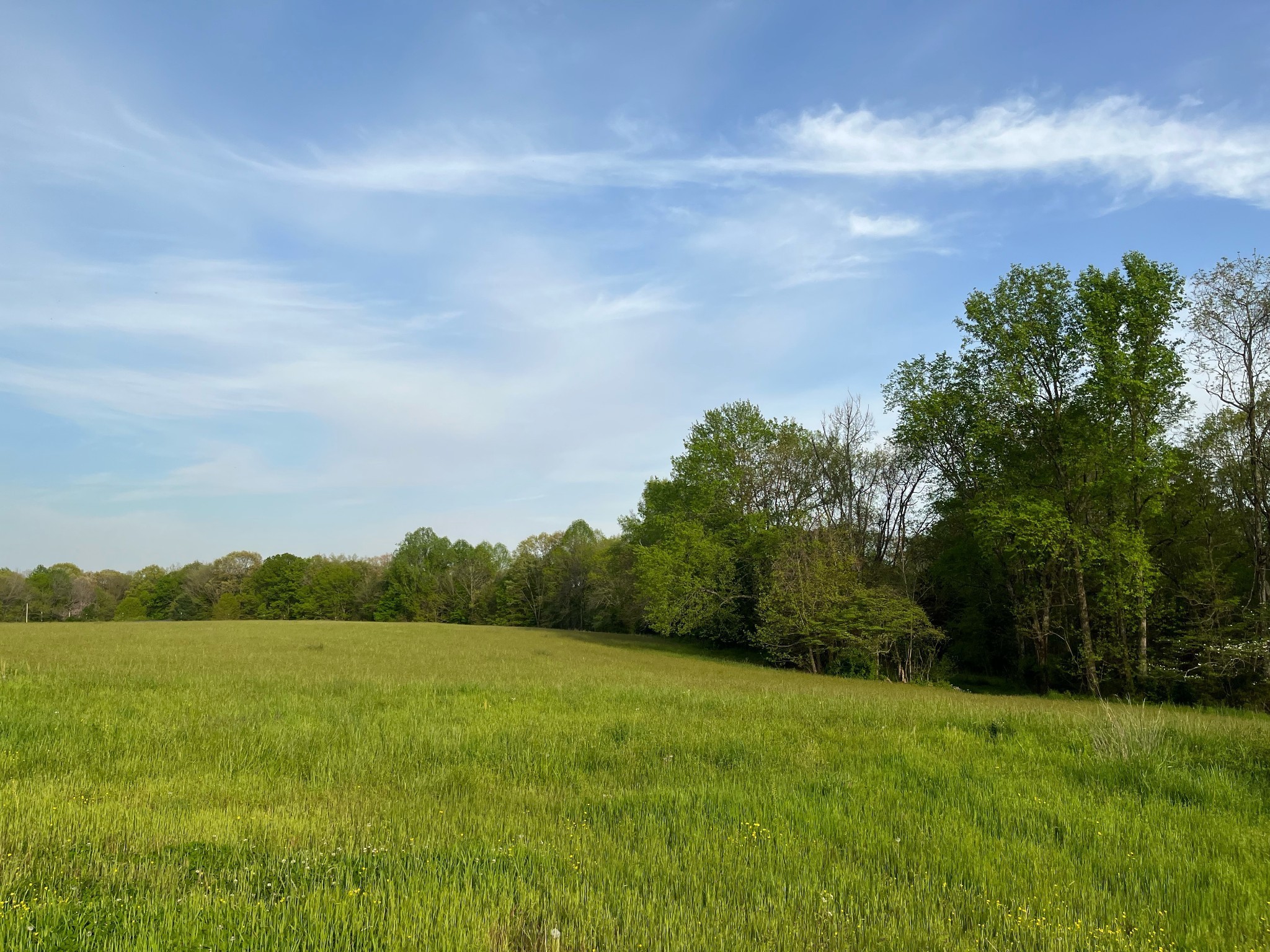 11024 Galen Road Lafayette, TN 37083 - Photo 4 of 15 Gallery Image 4