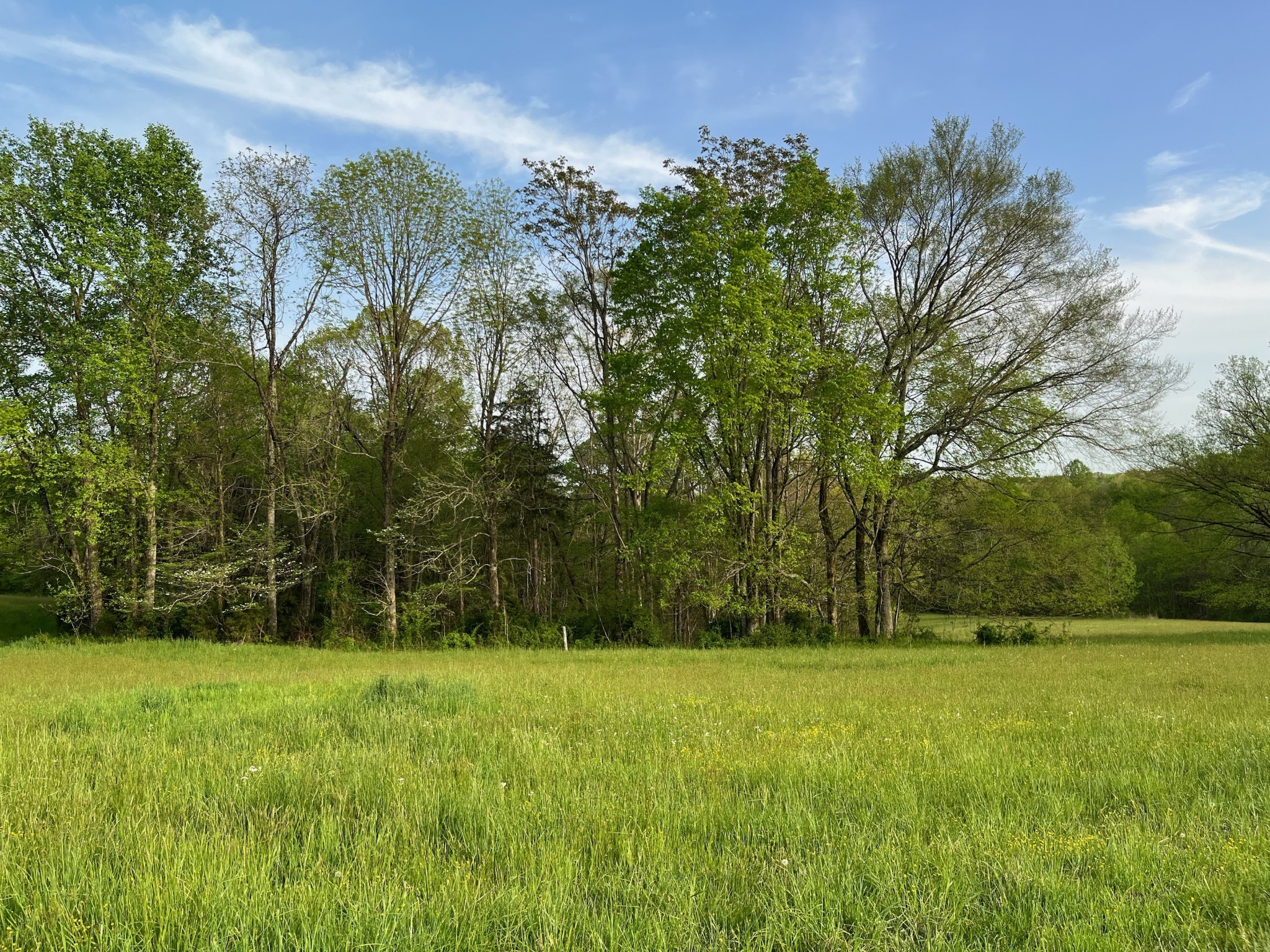 11024 Galen Road Lafayette, TN 37083 - Photo 5 of 15 Gallery Image 5
