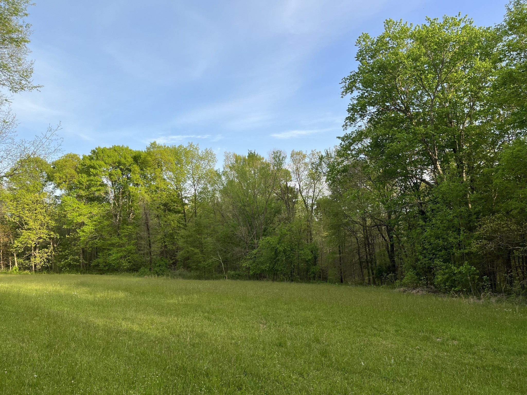 11024 Galen Road Lafayette, TN 37083 - Photo 6 of 15 Gallery Image 6