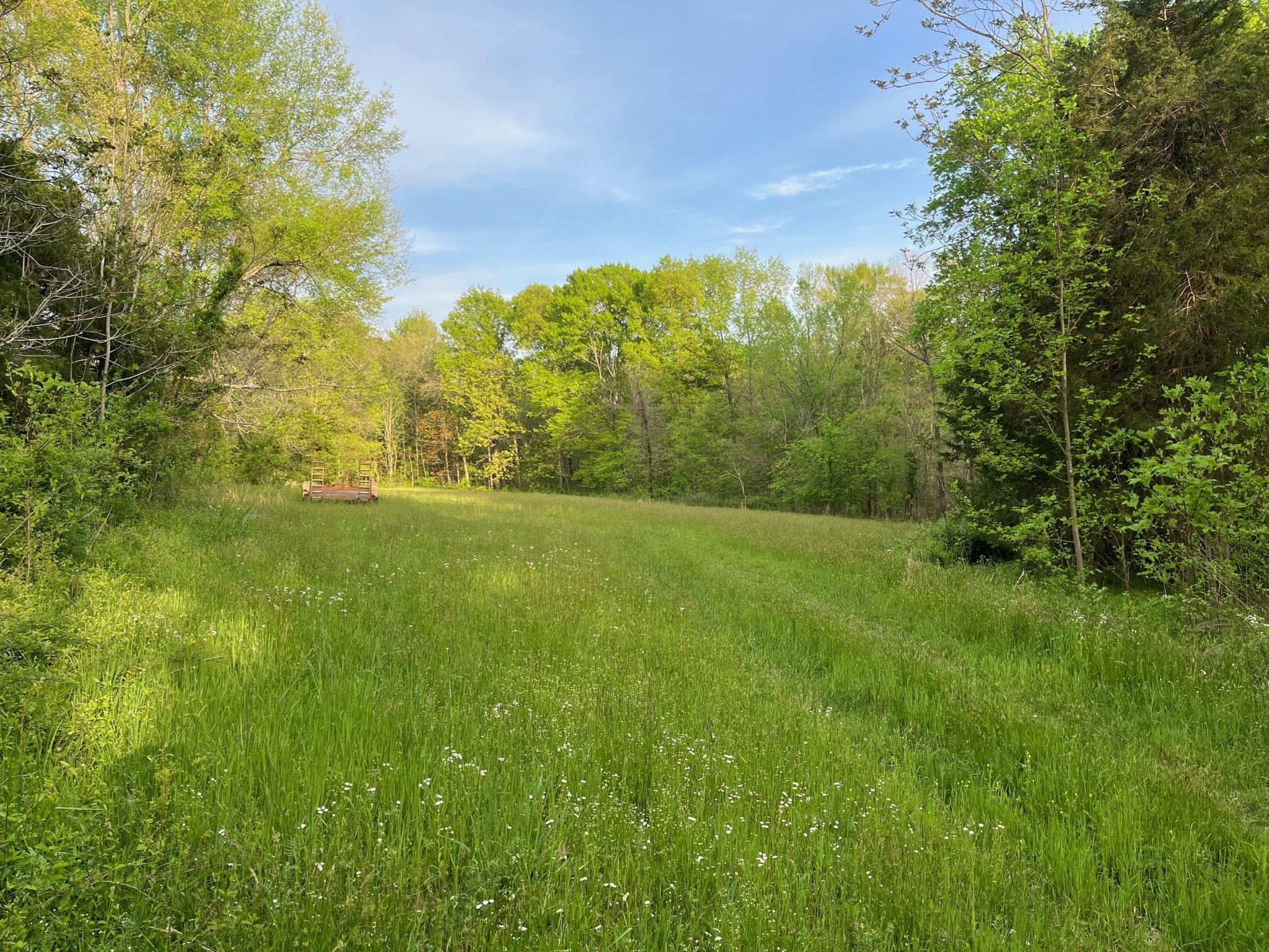 11024 Galen Road Lafayette, TN 37083 - Photo 7 of 15 Gallery Image 7