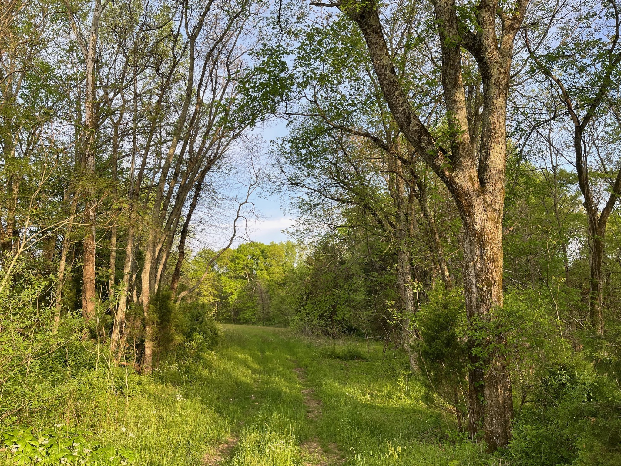 11024 Galen Road Lafayette, TN 37083 - Photo 8 of 15 Gallery Image 8