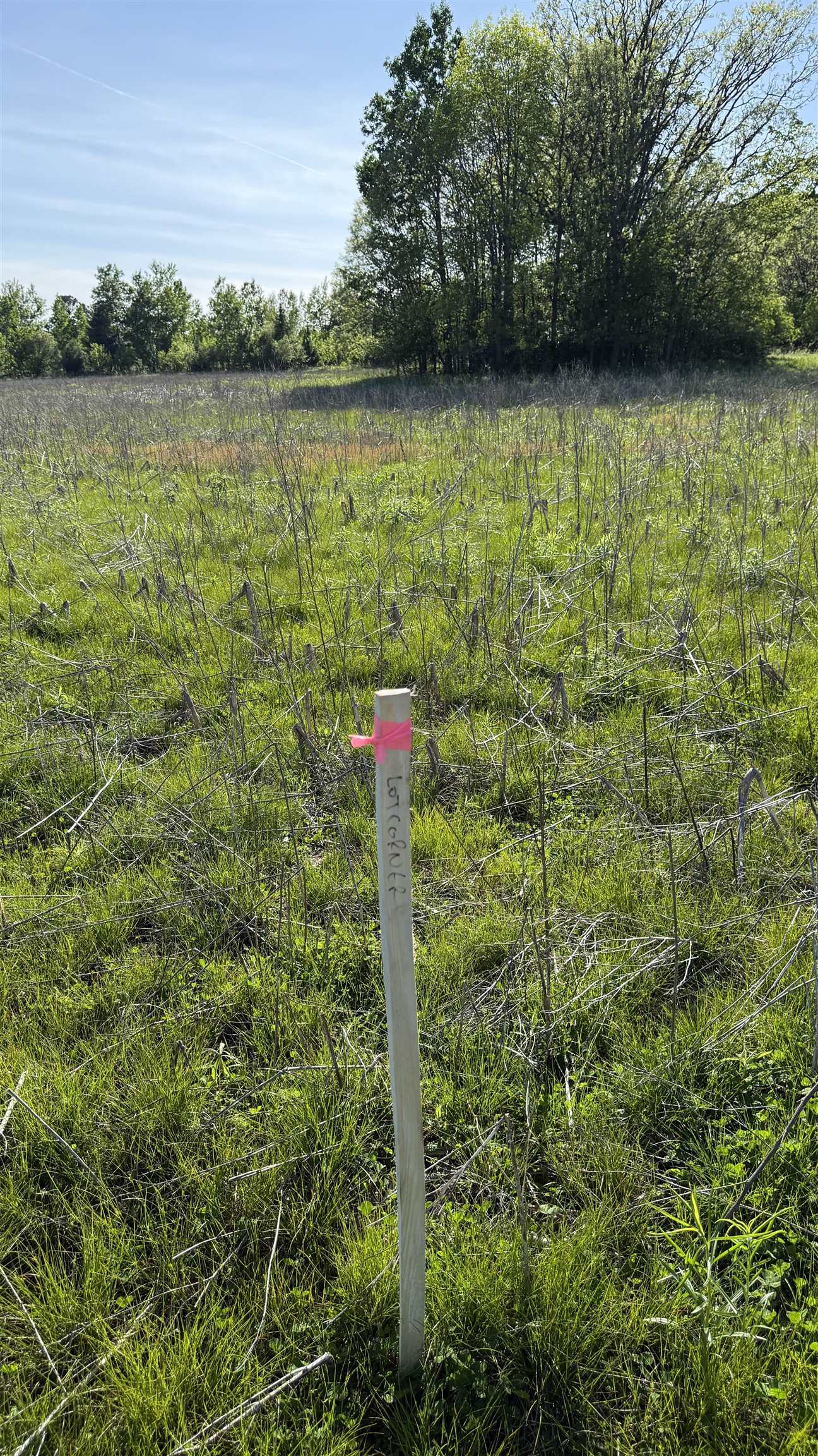 Lot 3 Eau Claire River Road Ringle, WI 54471 - Photo 6 of 28