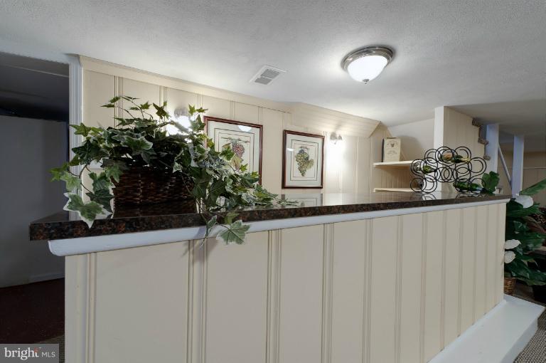 713 Charing Cross Road Baltimore, MD 21229 - Photo 19 of 29 a close view of sink and flowers in a kitchen