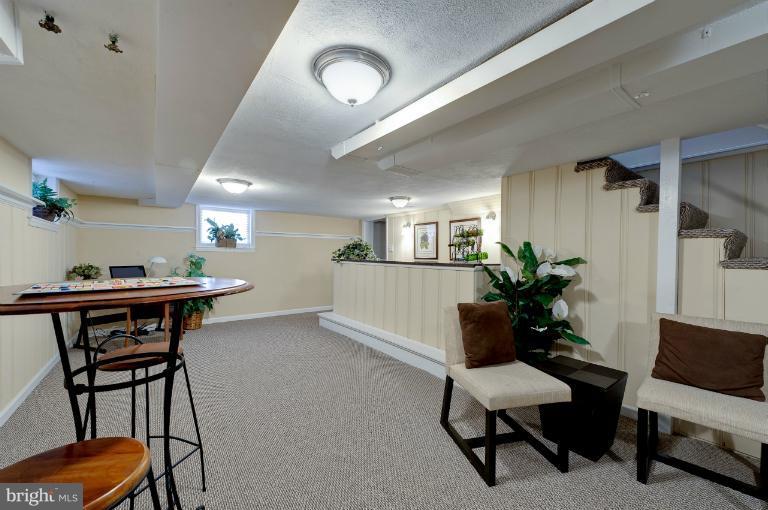 713 Charing Cross Road Baltimore, MD 21229 - Photo 20 of 29 a living room with furniture and potted plant