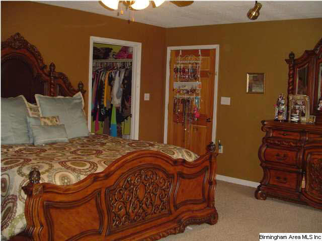 385 Ray Drive Locust Fork, AL 35097 - Photo 3 of 31