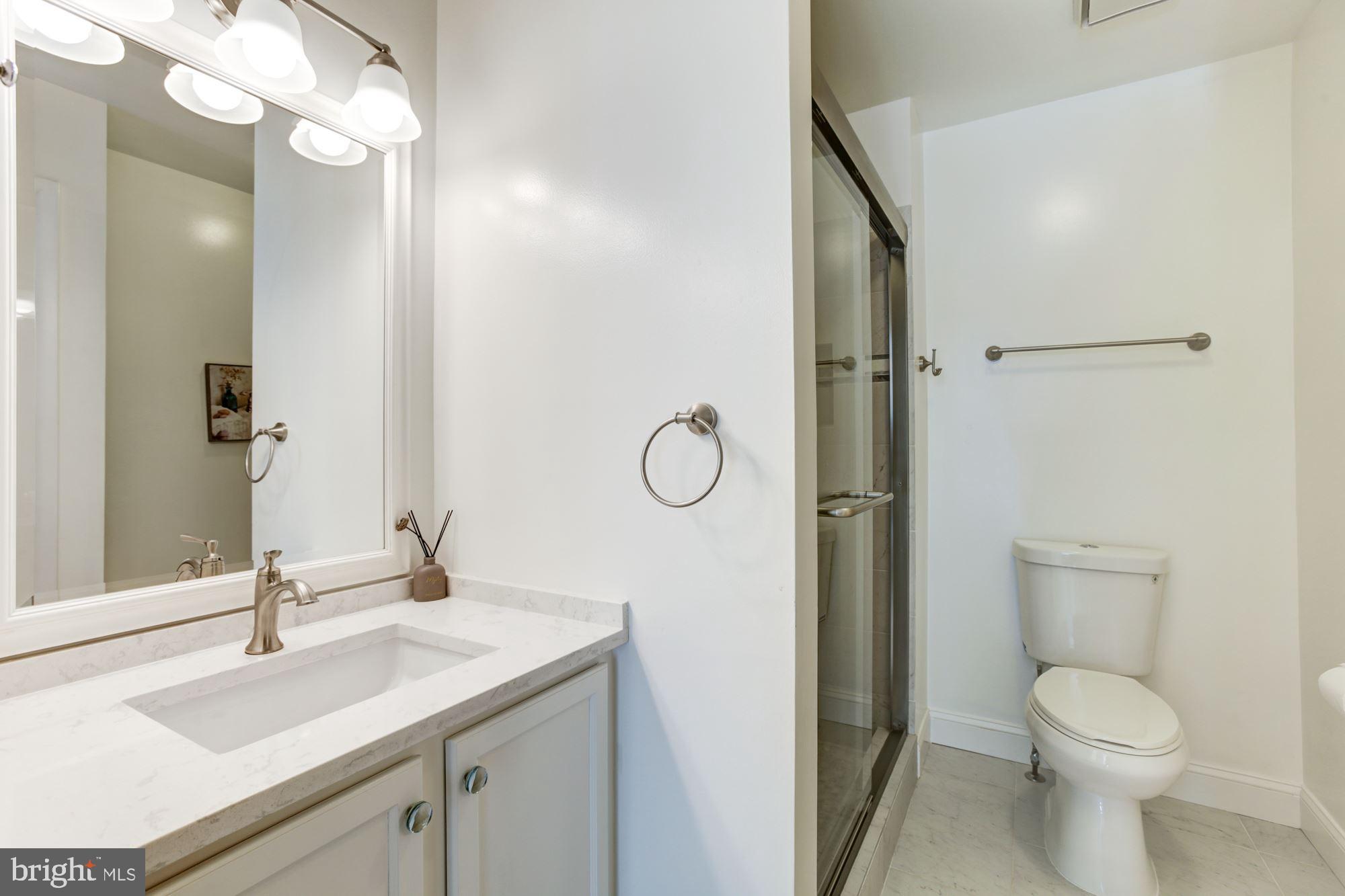 6721 Summer Rambo Court Columbia, MD 21045 - Photo 21 of 48 Primary En-Suite Full Bath